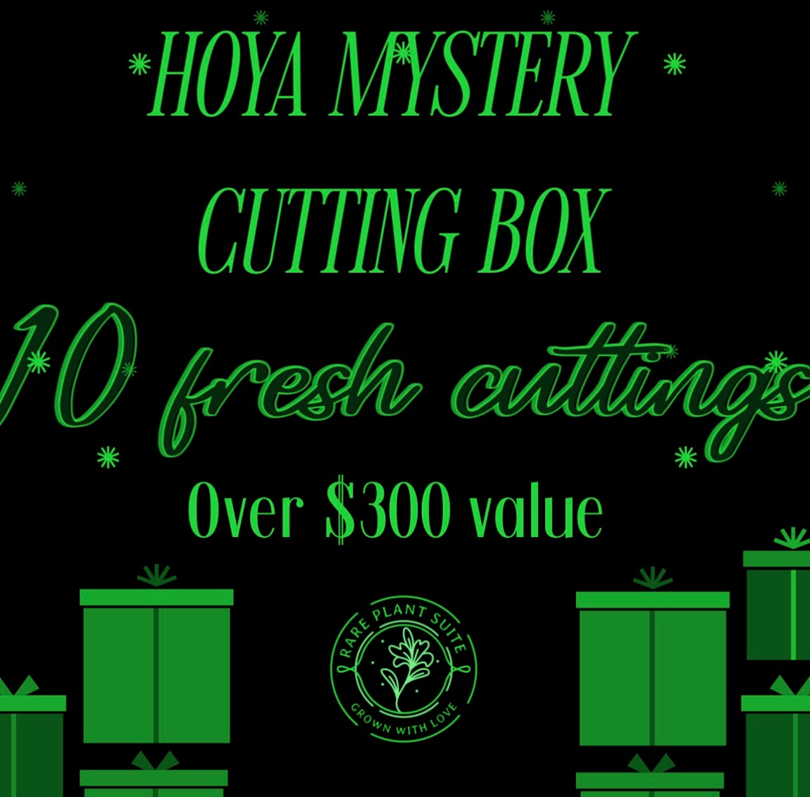 Hoya Mystery Box (10 fresh cuttings)